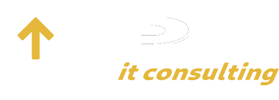 Logo PW it consulting